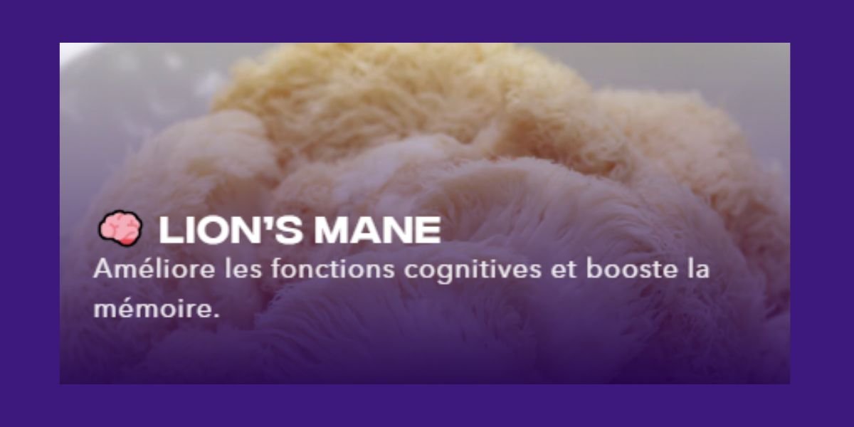 fonctions cognitives mush n go